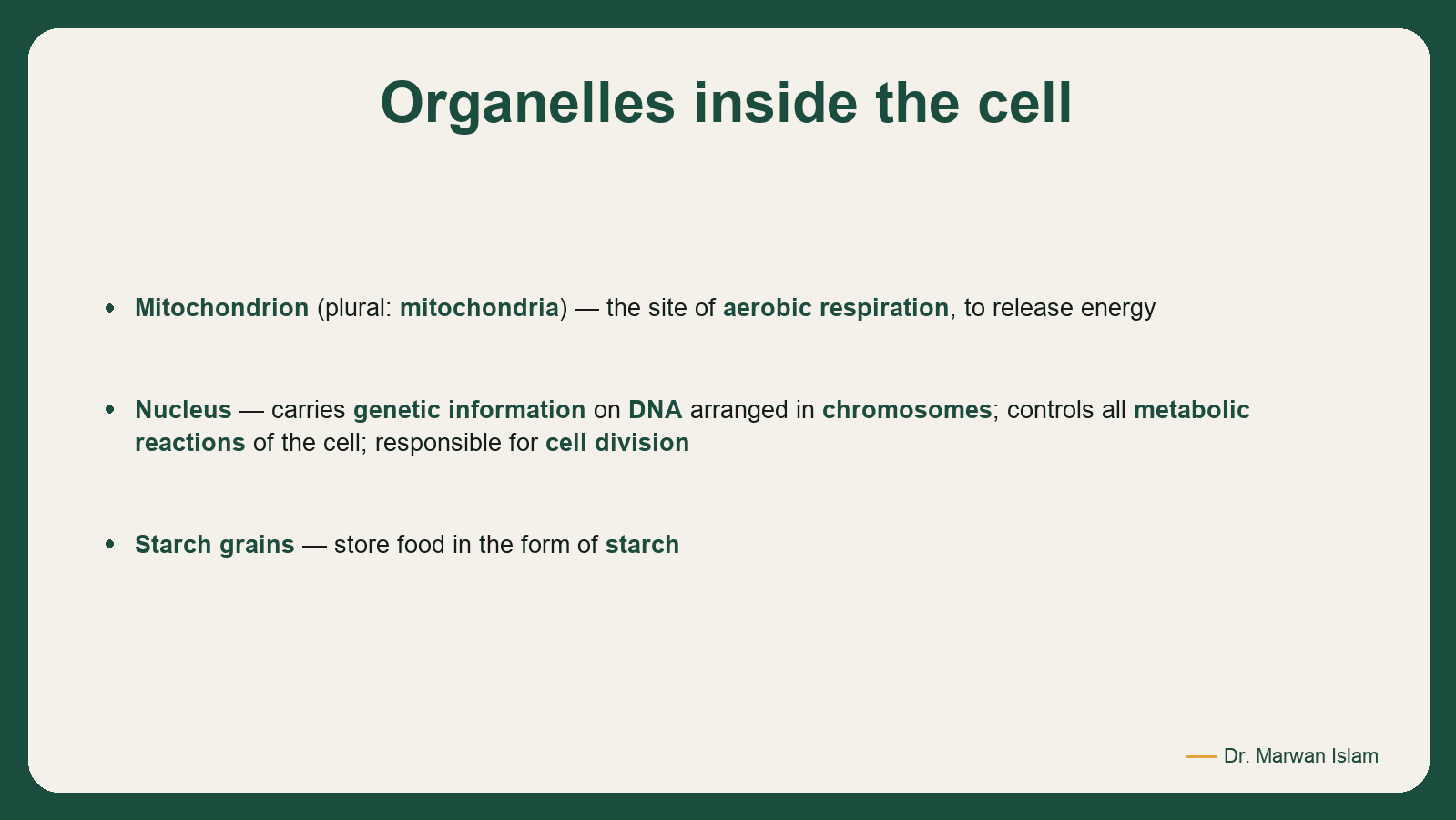 Slide 5: Organelles inside the cell