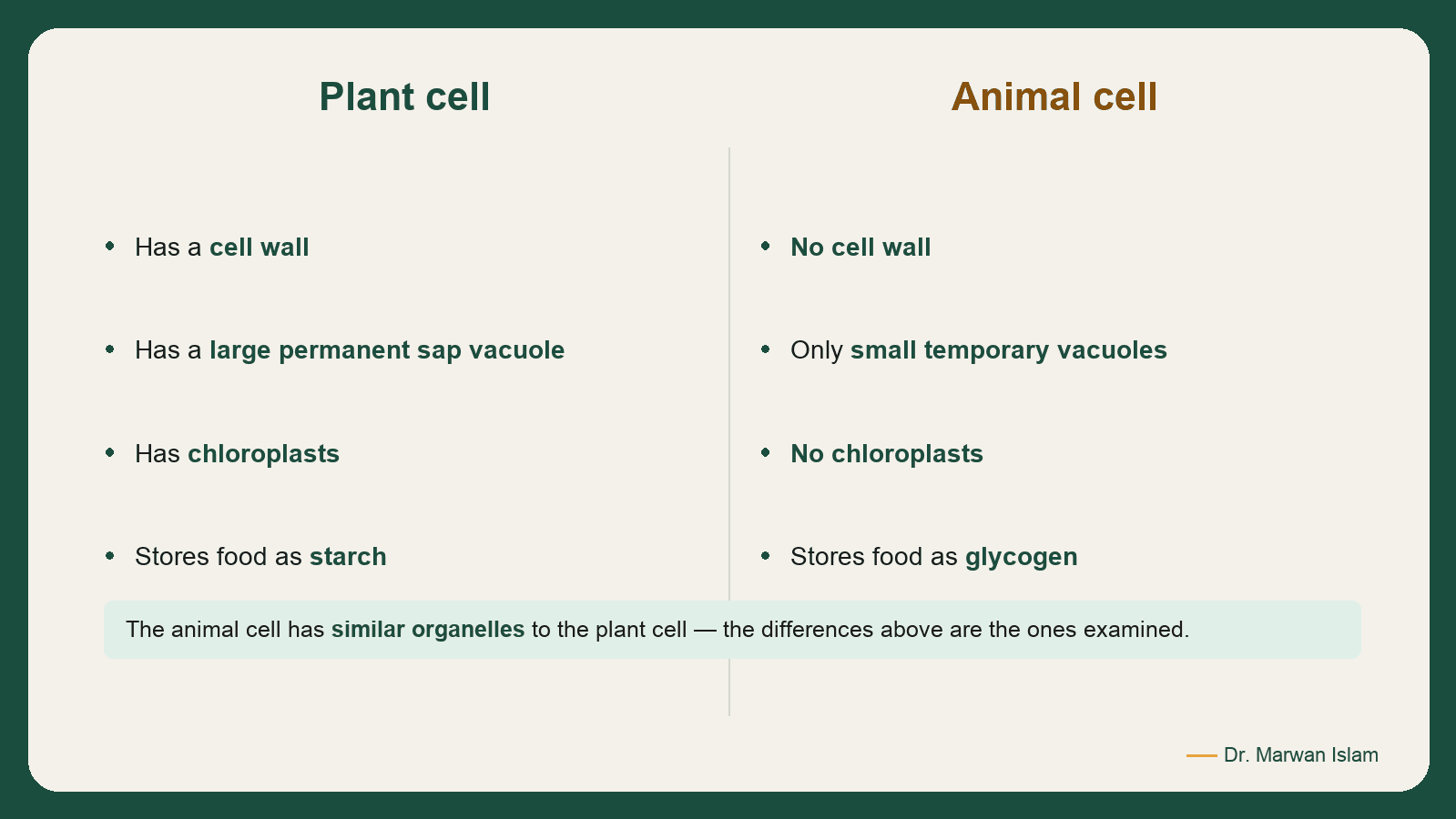 Slide 6: Plant cell