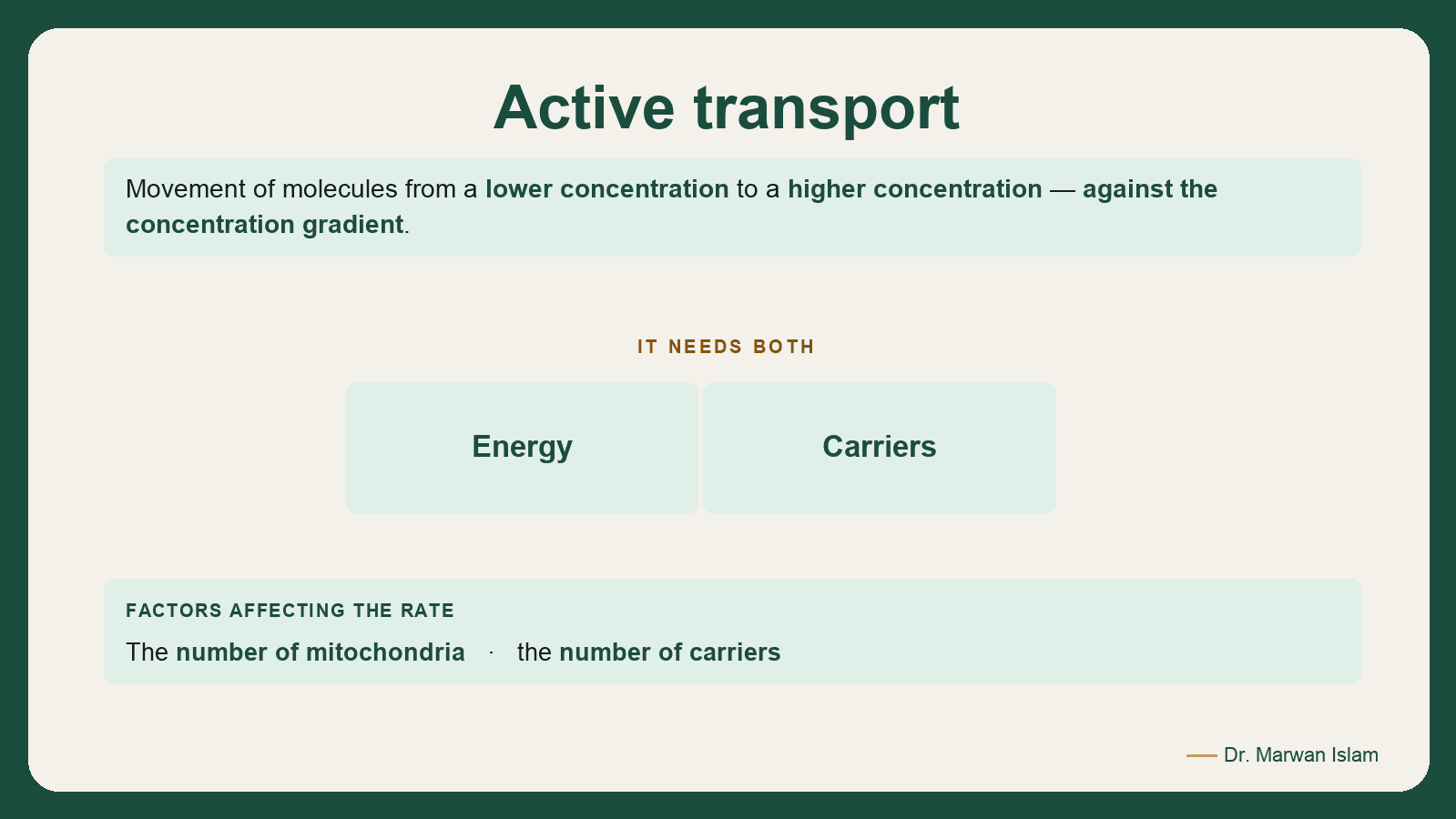 Slide 4: Active transport