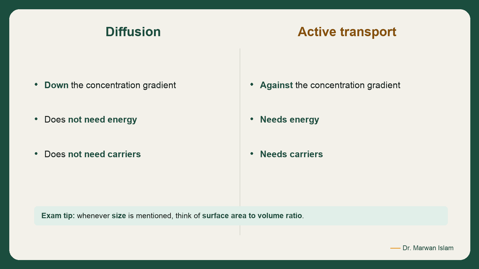 Slide 5: Diffusion