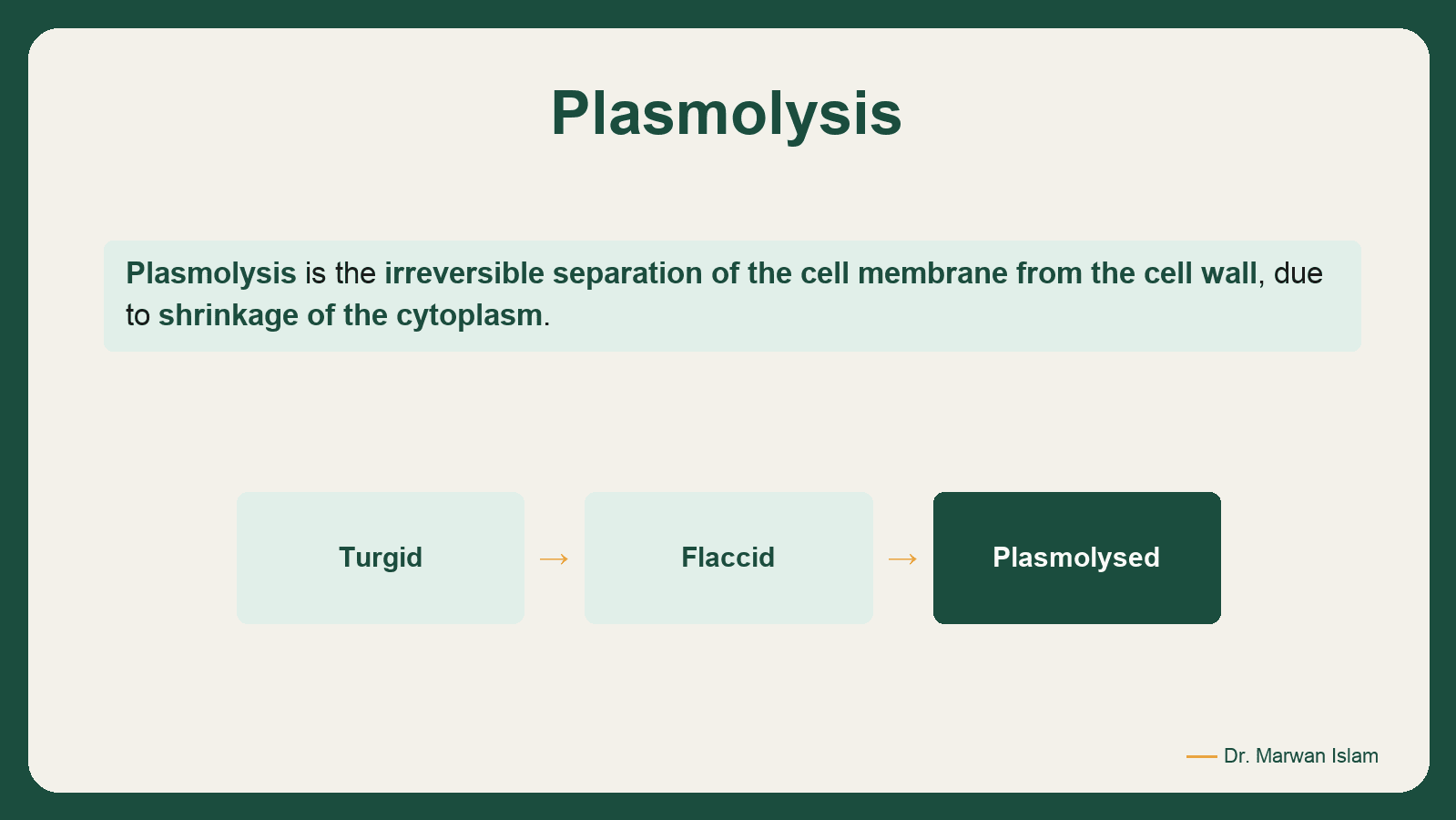 Slide 10: Plasmolysis